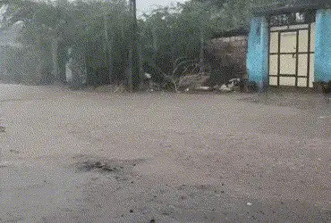 Yellow alert issued over 10 district in Gujarat for Friday as monsoon sets in