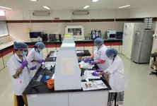 220 DNA samples matched 202 bodies handed over to their families