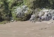 One dead, 10 missing as bus plunges into river in Uttarakhand