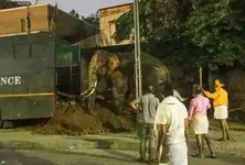 Vantara team deployed after elephants run amok during Jagannath Rathyatra in Ahmedabad