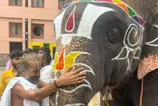 Different Elephants Jagannath temple Mahant responds to viral beating video