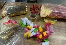 Customs seizes 500 kg cannabis concealed in clock box at Ahmedabad foreign post office