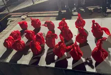 Gujarat government ensures dignified final rites for 19 AI plane crash victims