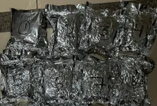 6.6 kg of hydroponic marijuana worth over ₹6 cr seized at Ahmedabad airport, flier held