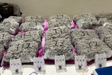 Customs nab Indian arriving from Bangkok with 6.39 kg of hydroponic marijuana at Ahmedabad airport