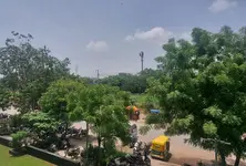 After chopping 12000 trees in seven years Ahmedabad plans to go green