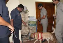 Bomb threat at Jaipur’s Maheshwari Girls Public School, students evacuated