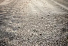 Cement road projects worth ₹75 crore halted in West Ahmedabad