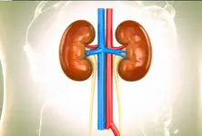 Ahmedabad schools to conduct screening for kidney related diseases