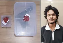 Gujarat ATS recovers gun from Al Qaeda suspect Zeeshan Ali in anti-terror probe