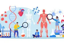 Regular meat consumption can put you at health risk, finds UK study