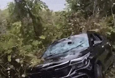 Gujarati folk artist Devayat Khavad allegedly assaults youth over payment dispute