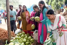 Centre to update WPI, IIP; announces launch of new Producer Price Index