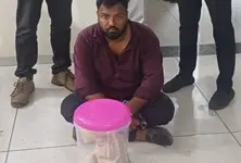 Gujarat CID Crime arrests man with whale vomit worth over ₹3 crore on Vatman-Dholka highway