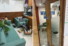 Gujarat University Botany department office vandalised by ex-employee