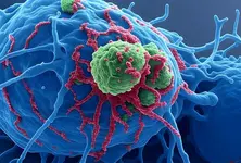 IIT Guwahati’s new nanosensor can instantly detect cancer-causing pollutants in water