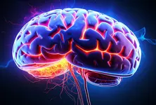 Artificial sweeteners linked to faster memory decline: Study