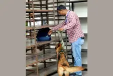 Mumbai Hospital receives bomb threat email; probe underway