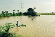 Flooded salt pans in Suigam and Santalpur cause losses worth crores to the salt industry