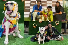 Tail wagging tale Ahmedabad hosts garba nights for dogs and their parents