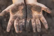 Four Bihar minors rescued from suspected child labour trafficking by RPF from Azimabad Express