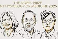 US, Japanese scientists awarded 2025 Nobel Prize for Medicine for discovery on immune system