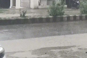 Unseasonal showers witnessed across North Gujarat during the festive season