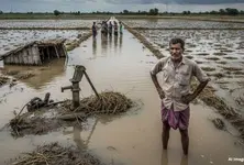 Farmer distress: Unseasonal rain damages over 10 lakh hectares of farmland across Gujarat