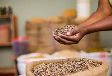 Gujarat’s Fair Price Shop owners halt foodgrain purchases to protest unpaid dues low commissions