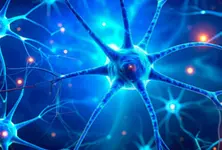 Dark chocolate, berries may help boost memory and relieve stress: Study