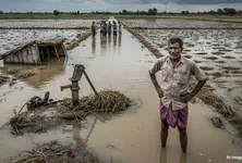 Unseasonal rain hits crops in 16000 Gujarat villages across 249 talukas survey teams assess losses