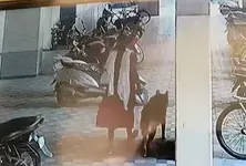 Pet dog mauls child in New Maninagar, Ramol police register case against owner