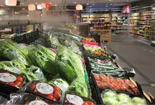 Rising food prices stagnant incomes Gujarat slips to 20th in Human Development Index