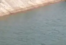 Owner of three petrol pumps jumps into canal with two daughters near Kalol all three found dead