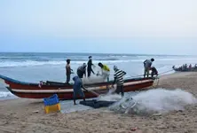 14 Indian fishermen from TN arrested by Sri Lankan Navy