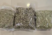 Mumbai airport Customs seize ₹32 cr hydroponic weed, gold worth ₹73 lakh also recovered from Bangkok fliers
