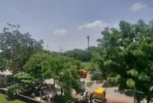 Ahmedabad records over 12 lakh trees in ongoing citywide census, Navrangpura among greenest areas