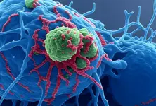 New drug to bypass resistance in deadly childhood cancer