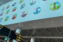 IndiGo cancels all domestic flights departing from Delhi Airport till midnight today amid disruptions