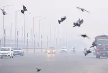 Air pollution can heighten anxiety and trigger panic-like symptoms: Doctors