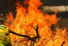 Over 30 homes damaged or destroyed by bushfire in Australia’s Tasmania