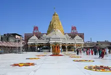 Ambaji Ashtami puja open to all devotees, not limited to Danta royal family: Gujarat HC