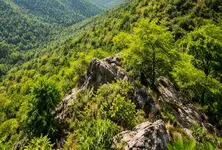 From Gujarat to Delhi, no mining: Central govt throws full shield over Aravallis