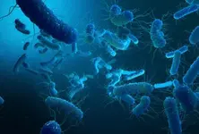 Typhoid outbreak worsens in Gandhinagar, patient count crosses 200