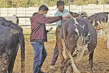 Amid typhoid outbreak, Gandhinagar reports first case of ‘Congo fever’
