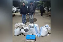 Gujarat SMC seizes over 14 kg of ganja worth over ₹7 lakh in Sabarkantha, 2 held