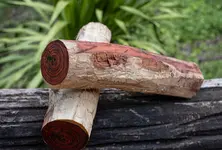 Guj Forest dept seizes 16 tonnes of kher wood smuggled from Navsari forest, one nabbed