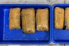 Customs seize 3.75 kg hydroponic ganja worth ₹3.75 lakh from Air India Express aircraft at Surat airport