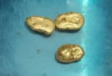 Ahmedabad Customs seize 37 gm gold worth ₹5 lakh concealed inside Air Arabia flier’s body
