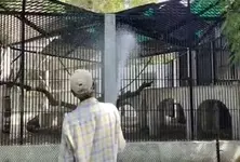 Heat relief: Water spraying on cages of animals and birds begins in Sayaji Bagh in Vadodara
